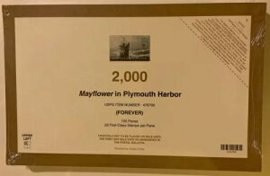 ���C�t�����[ �t���V�[���p�b�h 100������i�؎�2000���j �X�R�b�g 5524