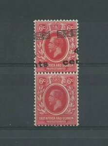 ���A�t���J �E�K���_ 1919 4C Su 6C �y�A 1�� �����Ȃ� Mlh Caffaz MF23200-