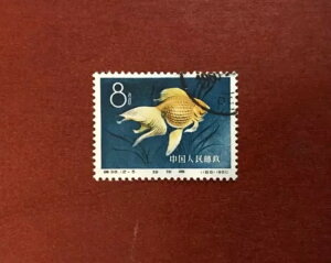 1960N؎ la ̐F̌肪ɂ߂Ă܂ɔBMiNr538 -