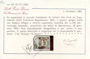 1 gr.  Sass 19eb Ad̒][t̒fЂɎgp܂!!-