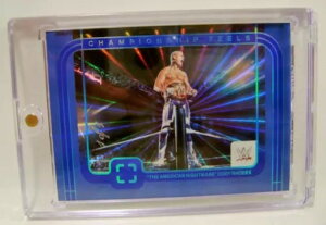 AJEiCgA R[fBE[Y TRUE 1/1 ONE OF ONE tHgWFjbN pj[j 2024