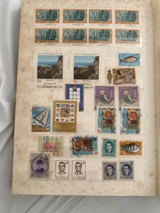 NobleSpirit } ̐E5؎AoRNV