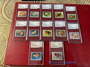 ؎ Zbg 1960N S38 ASG ~g OGRNV