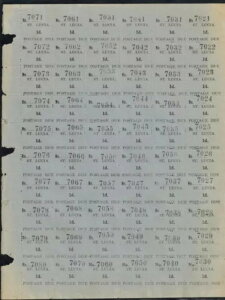 ZgVAX֗׏ tV[g SG D1 i P1 LOXNA WMK & G[t