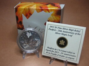 2013�N �t�@�C���V���o�[�n�C�����[�t �s�G�t�H�[�g - �V���o�[���[�v�����[�t25���N�L�O