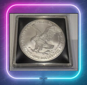 *  - 2021N USA AJVo[C[O ^Cv2 - 1IX - BU *