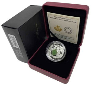 2017N  1IX v[t 20h N₩Ȕ̗tƃhD[W[Xg[ #18-15