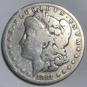 1881NuSv[K 1h - 悭ʂĂuL[f[gRCv?? ≿i ^??