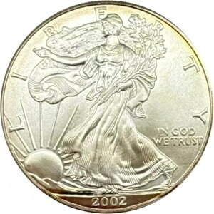 2002 NčʋAJC[O 1 h - f炵i!