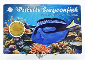 NnM 1/1000IX 999 3000t `h