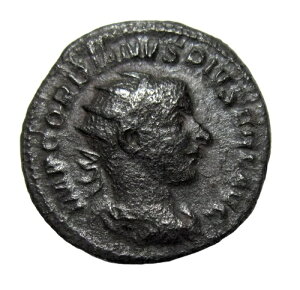 ␻AgjjAkX݁BSfBAkX3i238-244NjBʂ̓eBVAB[}ǁB