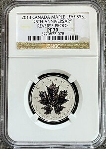 2013NJi_ S3h 25NLOo[Xv[t PF70