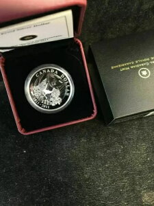 2011NJi_Ev[t - Ji_̎RY̕ی