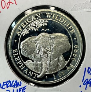 2021�N �A�t���J�]�E �쐶���� ��� 1�I���X .9999 ���� (bin5537P)