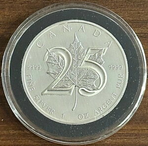 2013NJi_5h1IX݁AJi_[v[t25NLO