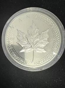 2019N fBt@Chv[t 5h Ji_ [v[t vChIuc[l[VY JvZt