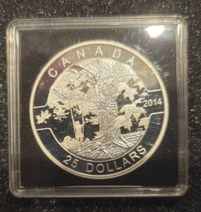 2014N 25h [vc[̉ 1IX 99.99% v[tRC O Ji_V[Y