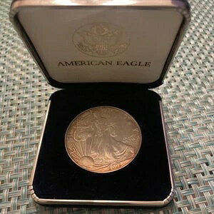 2002-W 1IX AJ Vo[ C[O 1h nRC tiCOAȂj