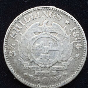 ��A�t���J���a�� 1896�N ��� 2.5�V�����O -19-