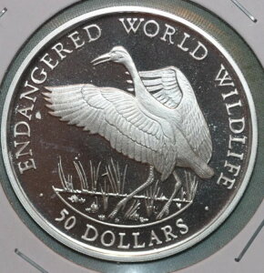 NbN 1990N ~ 50h AJVd Ŋ뜜 E̖쐶