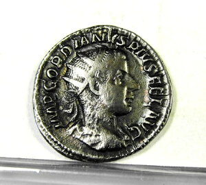 SfBAkX3 238-244NAARfiEX݁B}ƑBgDX