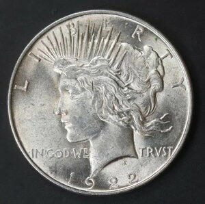 1922N-P s[XVo[_[ bg C3173