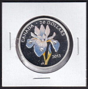 Ji_ 2013N 20h GUxX2 u[tbO ACX 