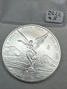 2022�N ���L�V�R �V���o�[ ���x���^�b�h 1�I���X ��� 0.999 ���� ������