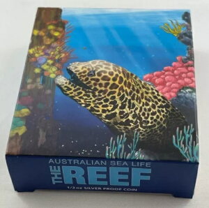 2010N Ec{ 1/2IX 99.9%  v[tRC - I[XgÅC̐ - p[X