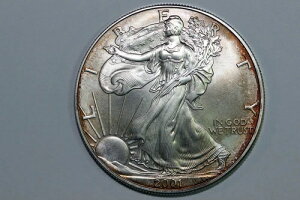 2001N AJ 1h C[O 1IX 999S[hg[ ~gRfBV (SE-2001-34)