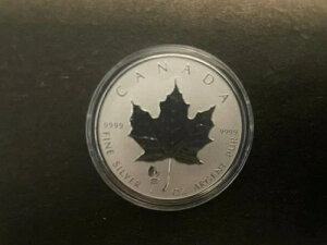 2019�N�J�i�_ 5�h�� 1�I���X �~���@ �v���C�x�[�g�}�[�N ���[�v�����[�t �V���o�[�n���R�C��