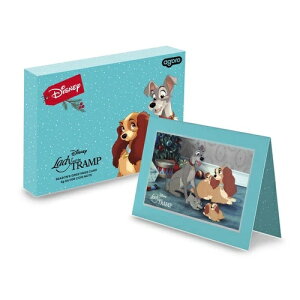 2024Nj[W[hǔs fBYj[ 񕨌 zf[ 5O  