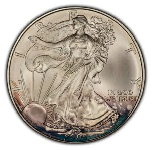 2005N 1IX Vo[ AJC[O - eNX`[hoCIbgVAg[jO - SKU-E2338