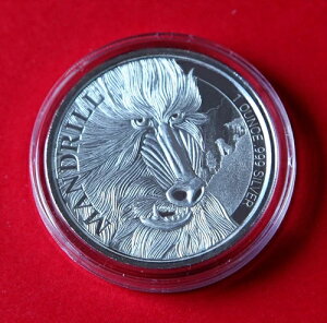 2020N J[ 500t }hL[ 1IX Vo[AGA^CgJvZ