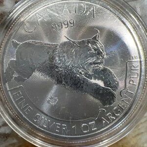 2017NJi_h5h1IX * LYNX * vf^[V[YRCiJvZj