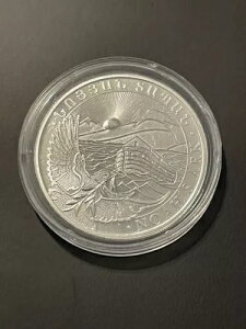 2015N AjA mA̔M 999 Vo[ 1IX RC 500h JvZ