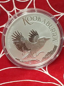 2024N I[XgA CJZ~ƃwr ??1IX 1h  .9999 nRC ??