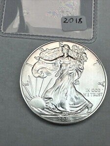 2018N AJ Vo[ C[O 1IX .999 Vo[ uAg AT[L[g