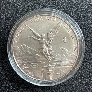 2015NLVRVo[x^bh - 1IT - LVR.999 1IX݁iJvZj