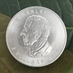 2025N 5h  Ji_Y[v[t 1IX uAg 