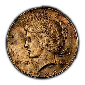 1926N 1h s[X_[ - dグ - F - Z~L[f[g - SKU-D6318