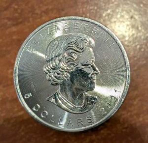 VNI2021NJi_ [v[t 1IX  .9999 - BU