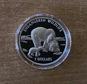 NbN 50h 1996N VN} Vo[PP ؖt