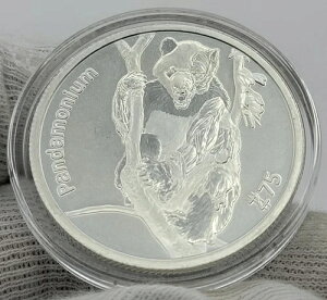 2023�N�]���o�b�N�X �p���f���j�E�� �َ��^�̒ʉ� 1�I���X .999 �����