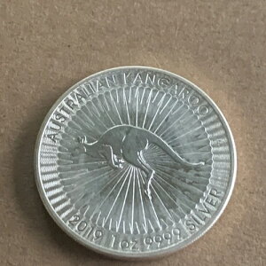 2019N I[XgA Vo[ I[XgA JK[ 1hRC 1IX Vo[