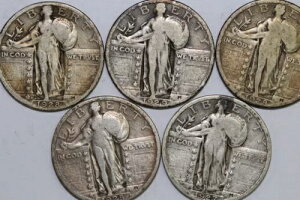 1925NA1927NA1928NA1928-SNA1929N X^fBOoeBVo[NH[^[ F`VF (NUM8280)