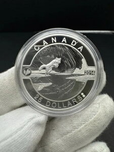 2014 RCM Ji_ 25h kɃLclƃI[ v[t 0.9999 Vo[ - RĈ