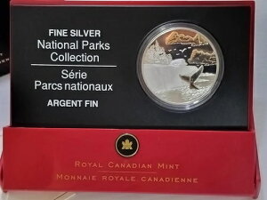 Ji_ 2005N 20h  - ~K NW 9999 Vo[ v[tRC