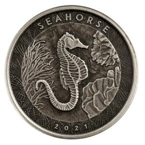 1�I���X �V���o�[�R�C�� �T���A �V�[�z�[�X 2021 �A���e�B�[�N