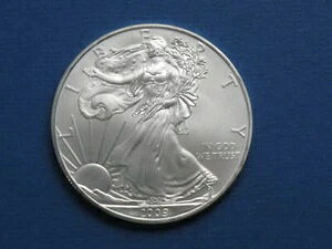 2009N AJVo[C[O č EH[LOoeBRC 1IX .999 